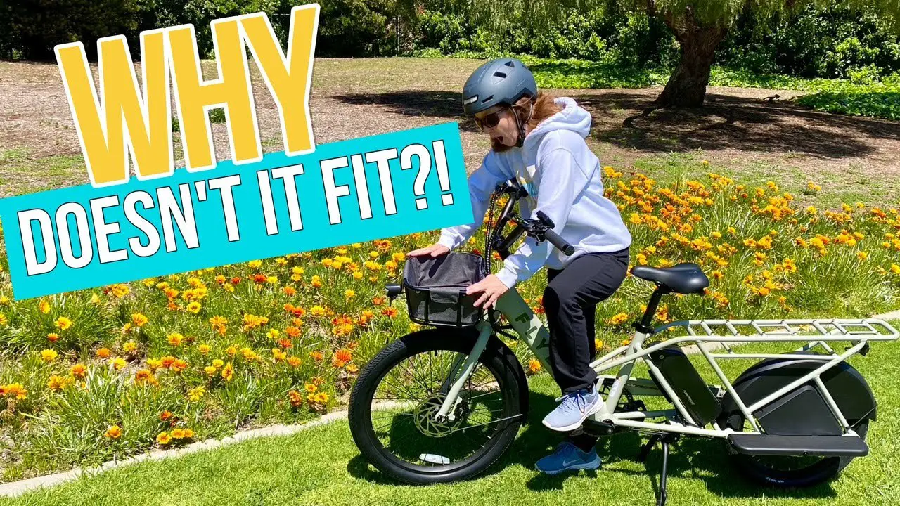 Flyer Via Cargo E-bike Review- Ultimate Electric Family Bike - Electric 