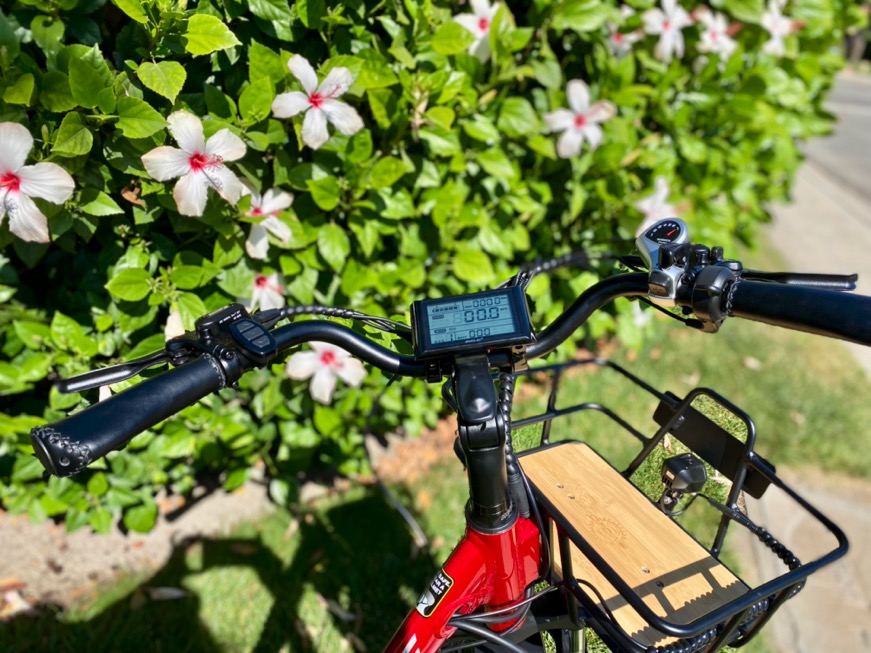 Emojo Bison Pro LCD and Handlebar Features