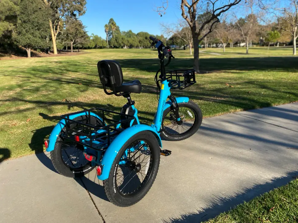 E-Trike with Rear Differential